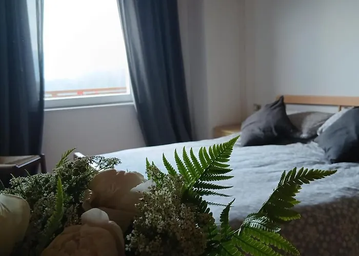 Maso Solandro Apartment *